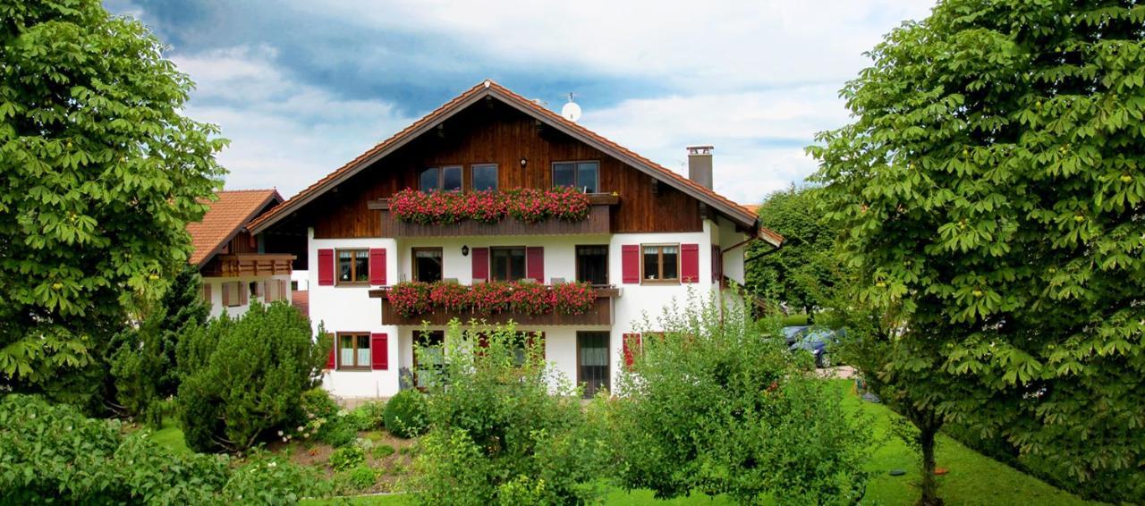 Hornblick * Oberstdorf